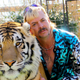 Tiger King